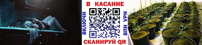 Хочу наркоту Черногорск Гашиш Каннабис Амфетамин A PVP Галлюциногенные грибы Метамфетамин Меф COCAIN