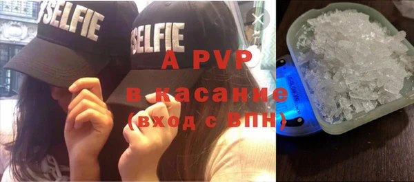 дживик Зерноград