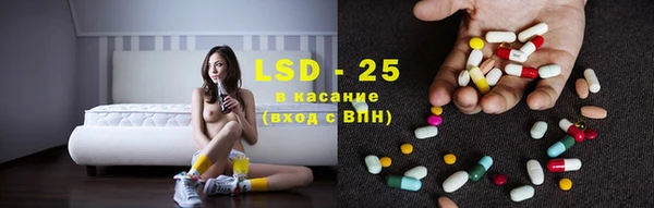 крисы Абаза