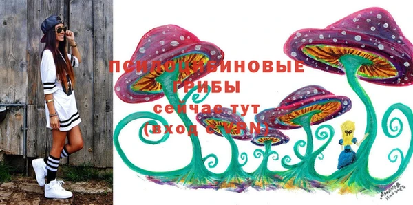 крисы Абаза